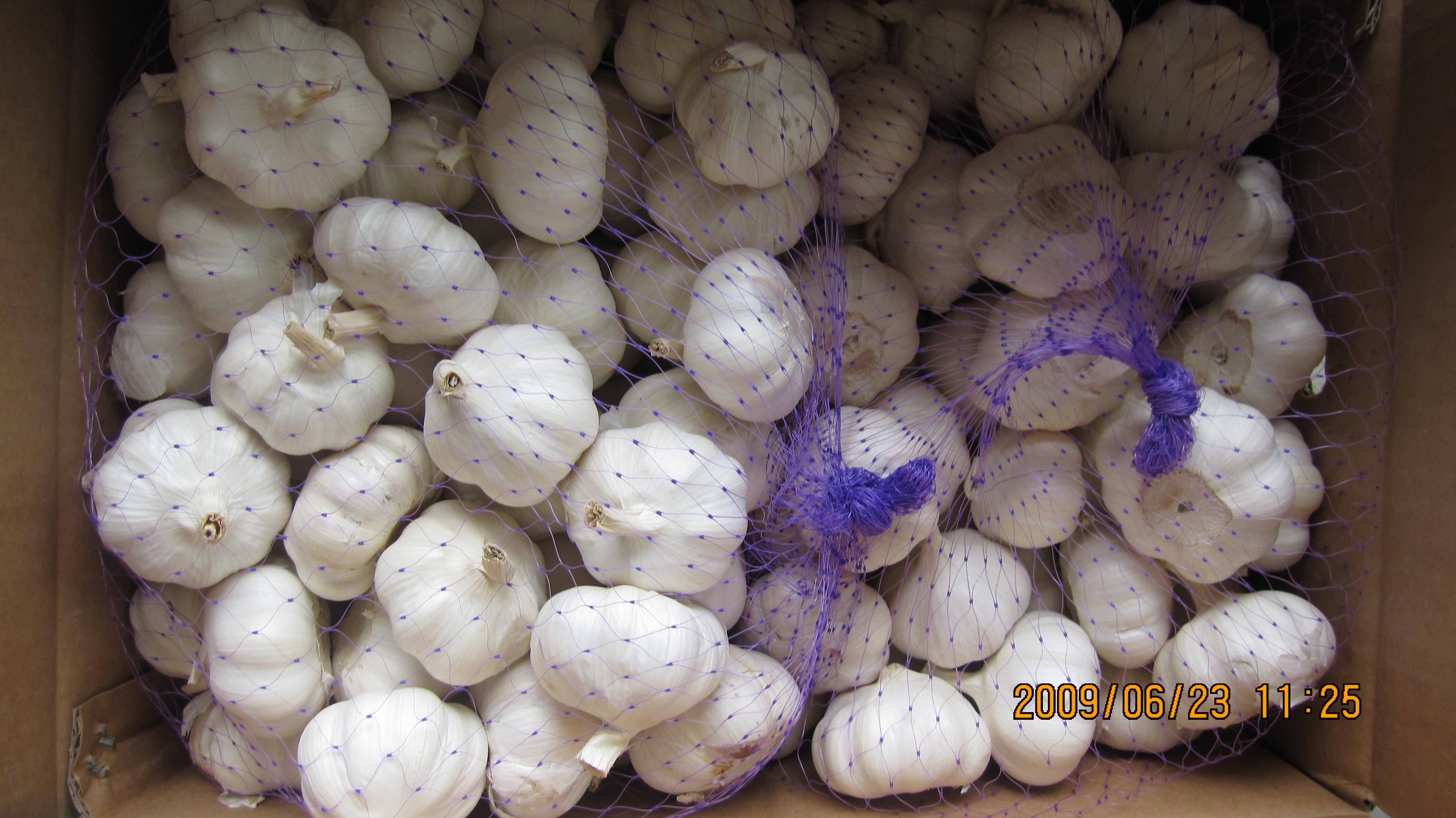 500G